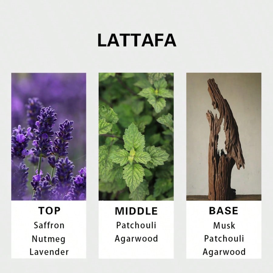 Lattafa Badee Al Oud For Glory - Perfume Fragrance Dupe บทวิจารณ์และราคา
