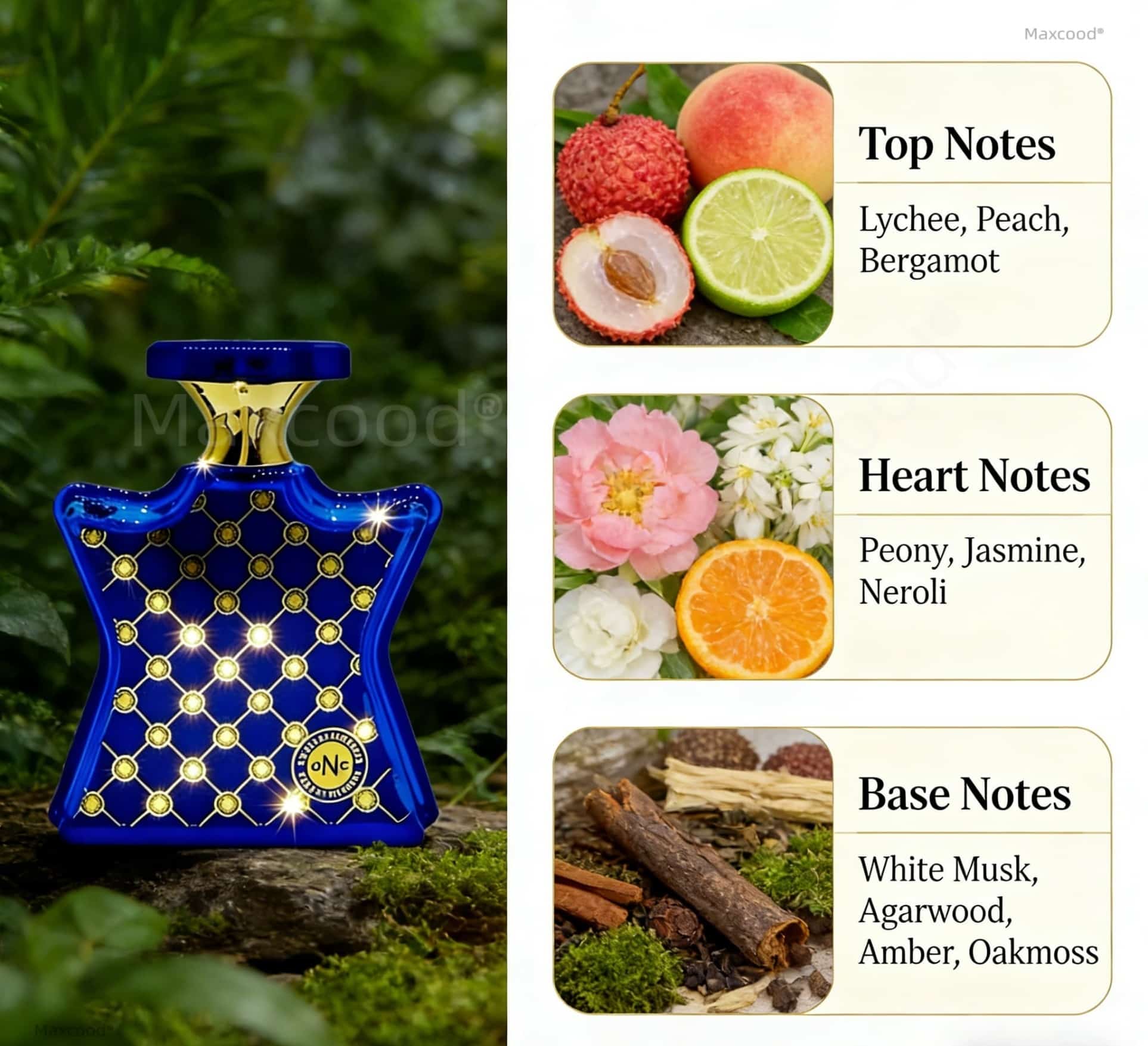 น้ำหอมกลิ่นส้มและดอกไม้ กลิ่นห - Perfume Fragrance Dupe บทวิจารณ์และราคา